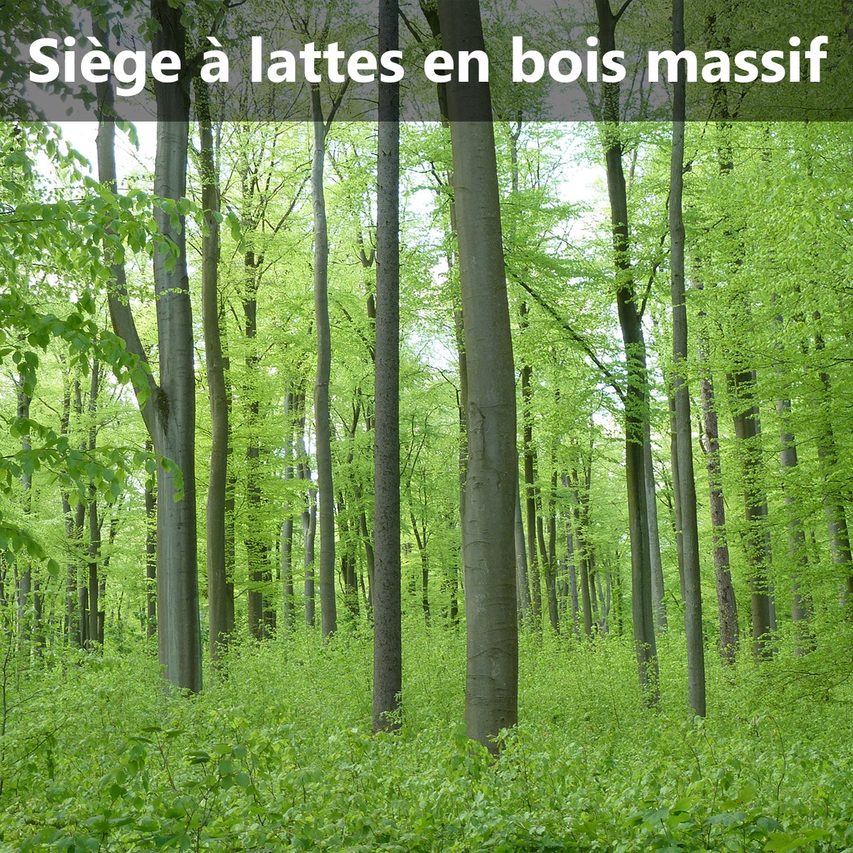 Banc de Jardin Mobilier Extérieur 125 cm en Fonte Siège à Lattes Cadre en Bois Dossier en Plastique Capacité de Charge 210KG - 8