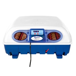 Incubatrice Uova Automatica Per 24 Uova - 4 Modalit&agrave;, Visione 360&deg;, Girauova Auto E Controllo Temperatura