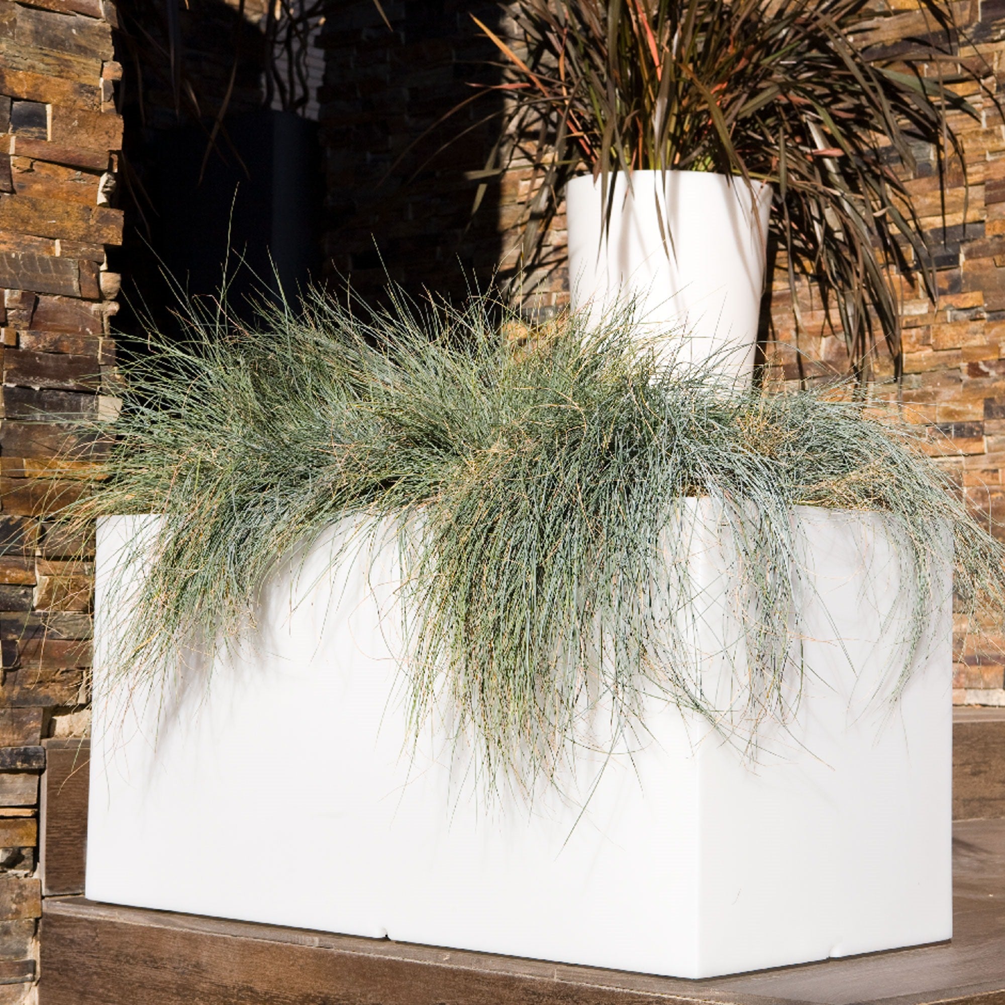 Vaso de polietileno de 195 litros, 100x45cm, WellHome - 3