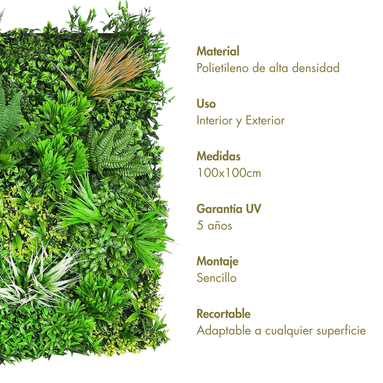 Jardín vertical artificial Selvático Multicolor 100 x 100 cm | Naturing Monde - Para interior y exterior - Material HDPE - Garantía UV 5 años - 3