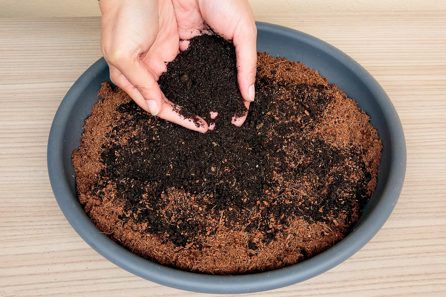 R&R SHOP – Humus di Lombrico 100% Biologico Italiano, PH Neutro per Arricchire il Terreno di Piante, Fiori e Orto – 1L - 2