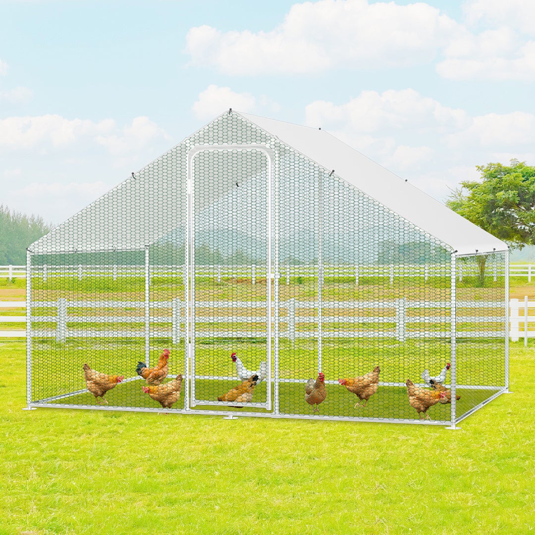 Wybieg dla Kur 3×2×2 m – Metalowy wybieg zewnętrzny 6 m², drzwi zamykane, idealny dla kur i małych zwierząt