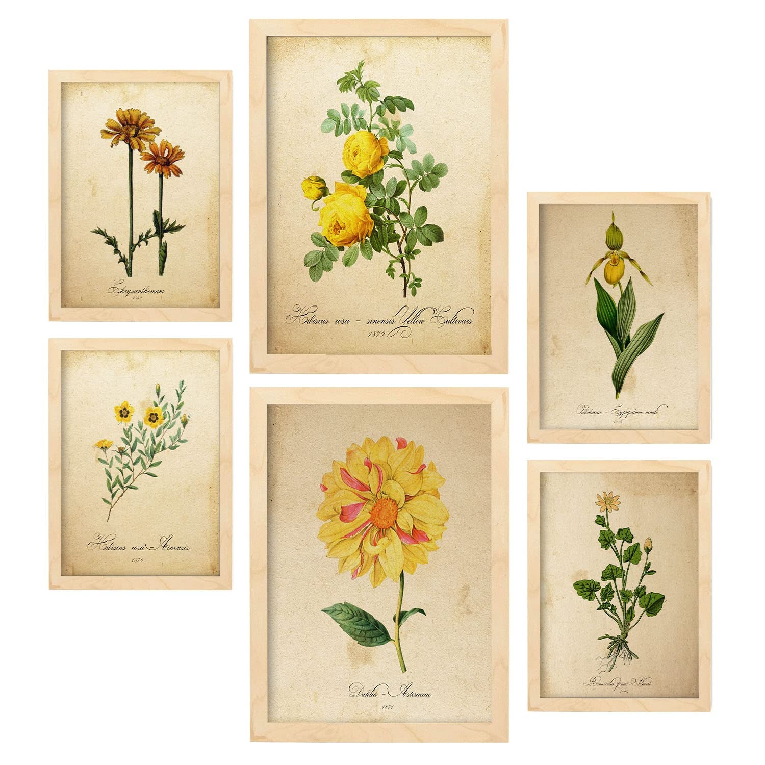 Nacnic posters de flores amarillas ilustraciones de naturaleza y botánica estilo papel vintage con temas florales para la a4 & a3 marcos color madera