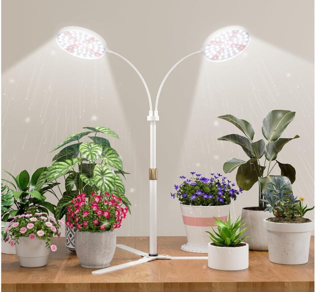 Lampe LED Horticole JINHONGTO 65W (Équiv. 600W) - 588 LEDs Spectre Complet + IR UV, Gradation 0-100%, Chaînable, Croissance & Floraison Plantes Intérieur