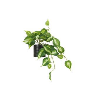 Lot De 4 Plantes Artificielles Tombantes Avec Pots – Fausses Plantes Suspendues Réalistes (Sans Entretien), Pour Intérieur/Extérieur
