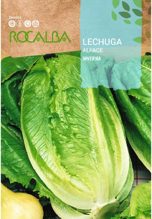 Semillas Lechuga Romana Larga Rubia S.N. 6g