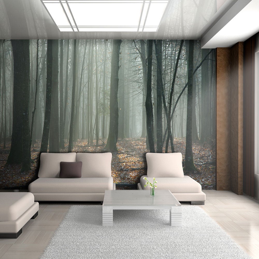 Papier Peint - White Birch Forest 384x260cm - Intissé main image 0
