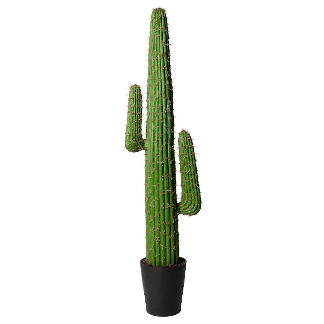 Kactus Republic  Planta Artificial Cactus Saguaro 148Cm. Gran Realismo 2 Brazos Con Maceta Para Decoración Interior Hogar Y Oficina , Leroy Merlin