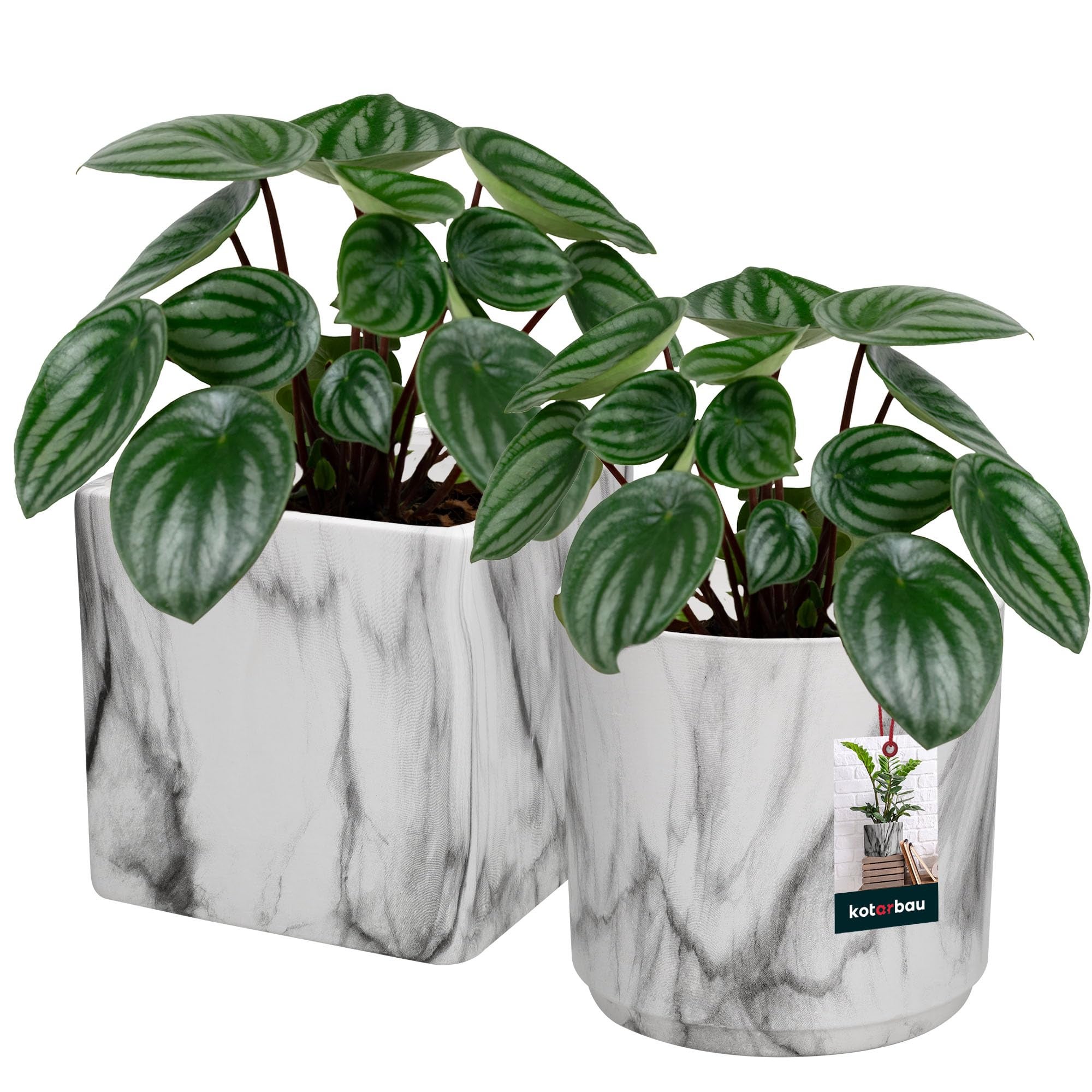 Corde Chitarra Acustica D'Addario EJ83L - Bronzo Fosforoso, Tono Caldo, Media Tensione - Foto 12