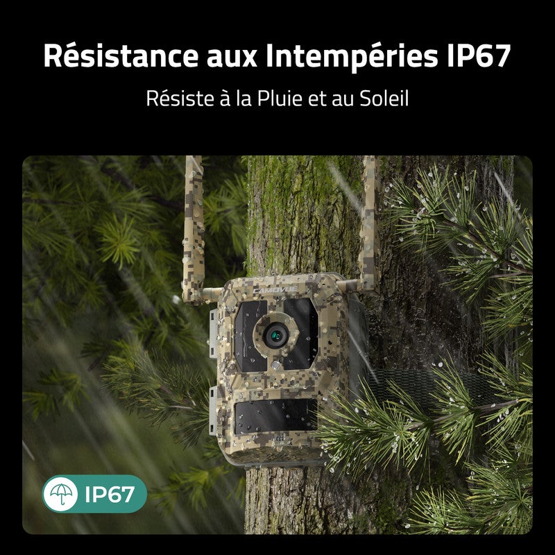 Camovue Caméra de surveillance 4K Batterie 4G Extérieur, Carte SIM, Vision Nocturne, Reconnaissance d'Espèces - 6