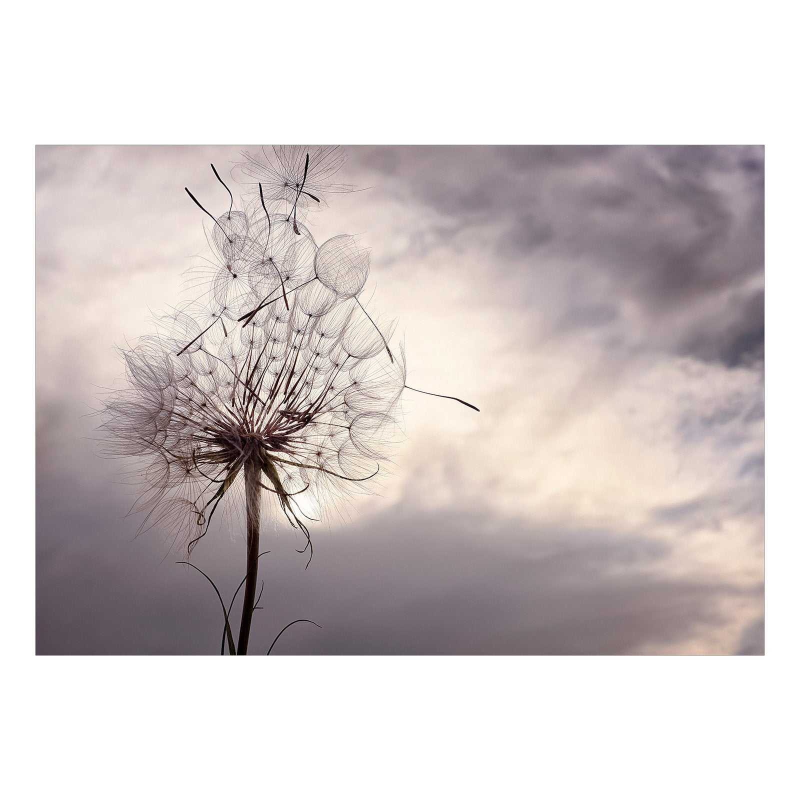 Papier peint Gentle Wind - 250 x 175 cm - 2