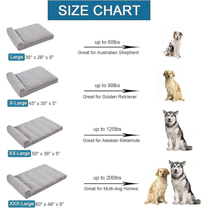 Letto per cane medio e grande con cuscino removibile, fondo antiscivolo e design lavabile, 35x26 pollici, Grigio - 4