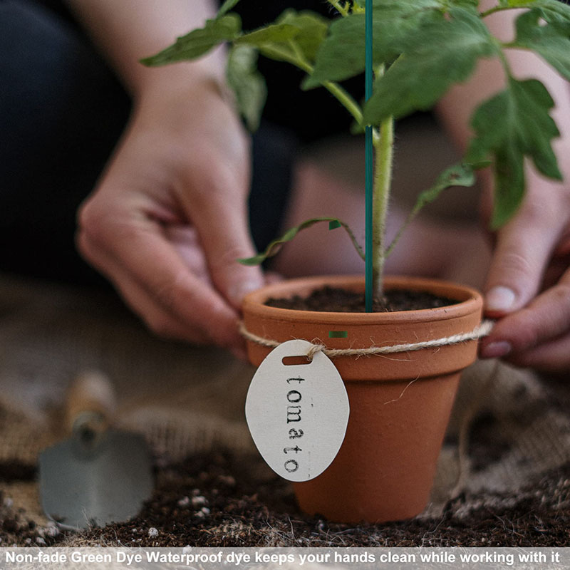 50 tiges de support pour plantes de 40 cm de long, tiges pour compositions florales, adaptées aux jardins et aux serres - 6