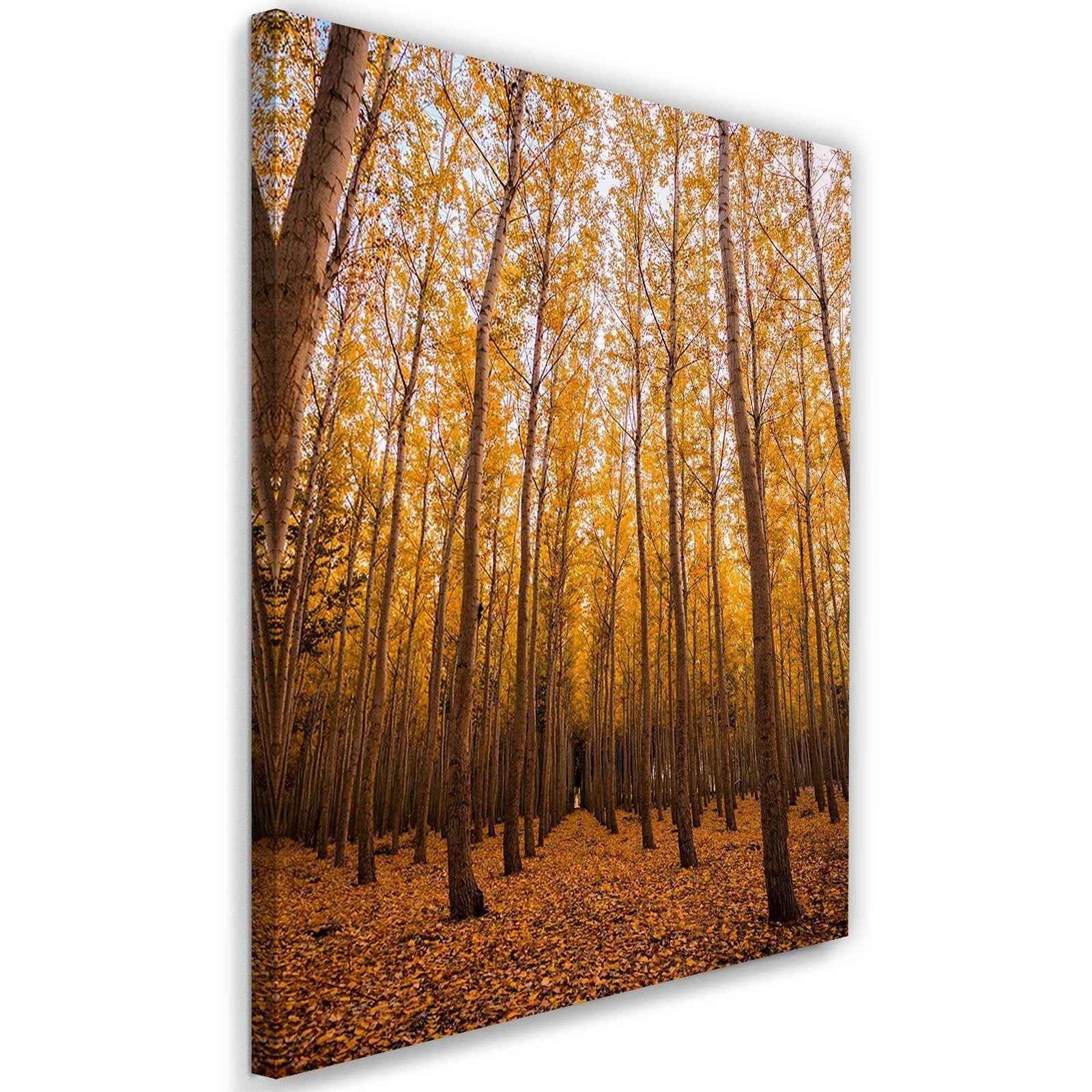 Obraz na płótnie, Brzozy i liście 40x60