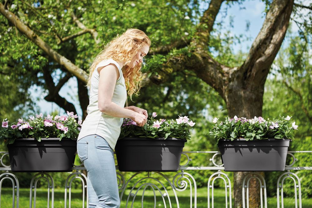 Elho Green Basics Flower Bridge 55 - Noir - L 55 x B 28.5 x H 23 cm - Balcon-extérieur - 100% recyclé - 4