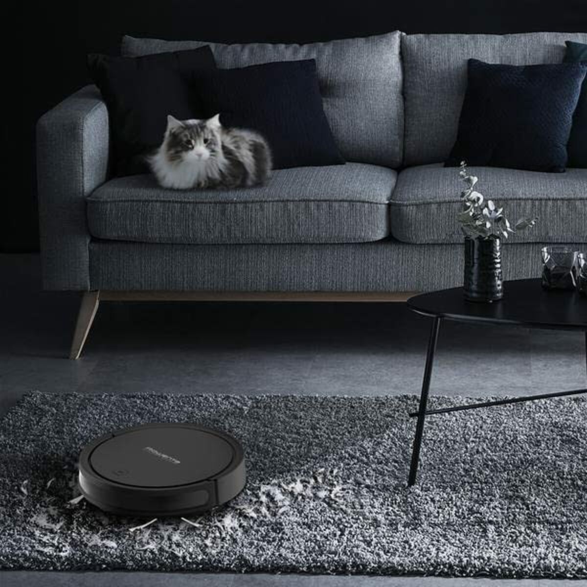 Aspirateur robot Rowenta RR7375WH Noir - 4
