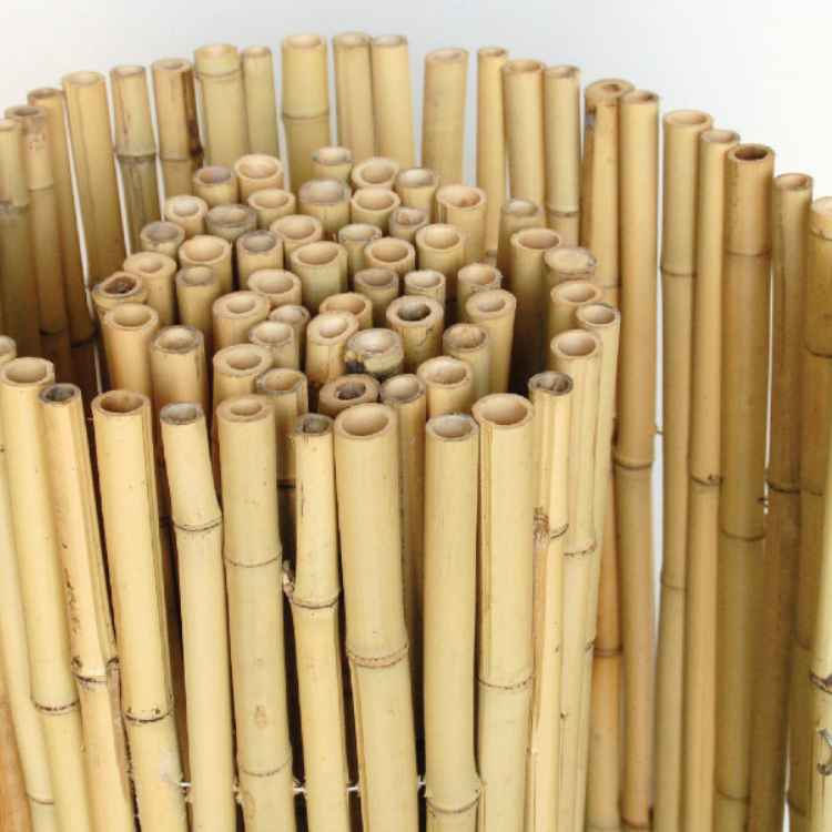 Rolki do ogrodzeń z naturalnej trzciny bambusowej 3,5Ø x 200 szer. x 100 wys. cm