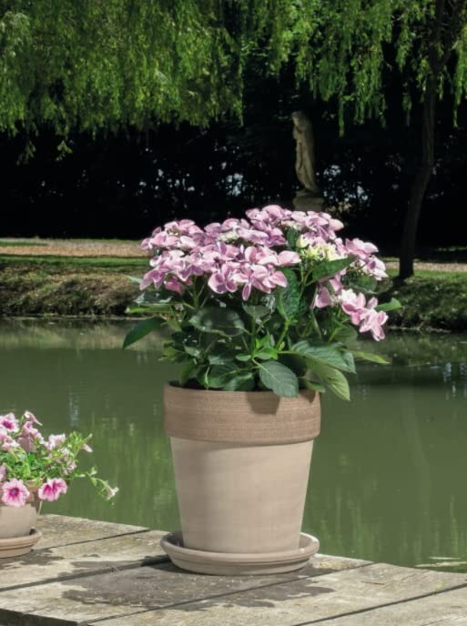 2x doniczka gliniana 31 donica ceramiczna terakota - KOTARBAU - 7