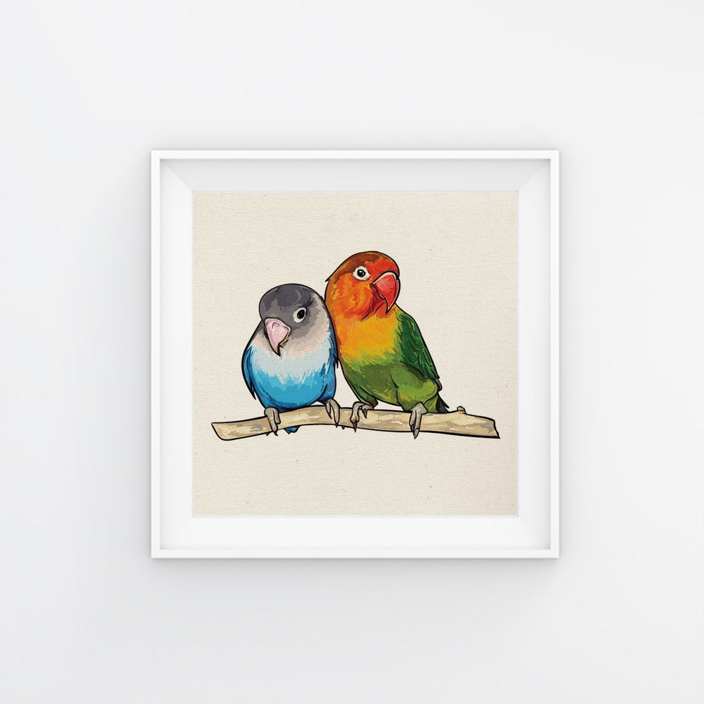 Pack de láminas para enmarcar cuatro pajaros. posters cuadrados con imagenes de pajaros. sin marco