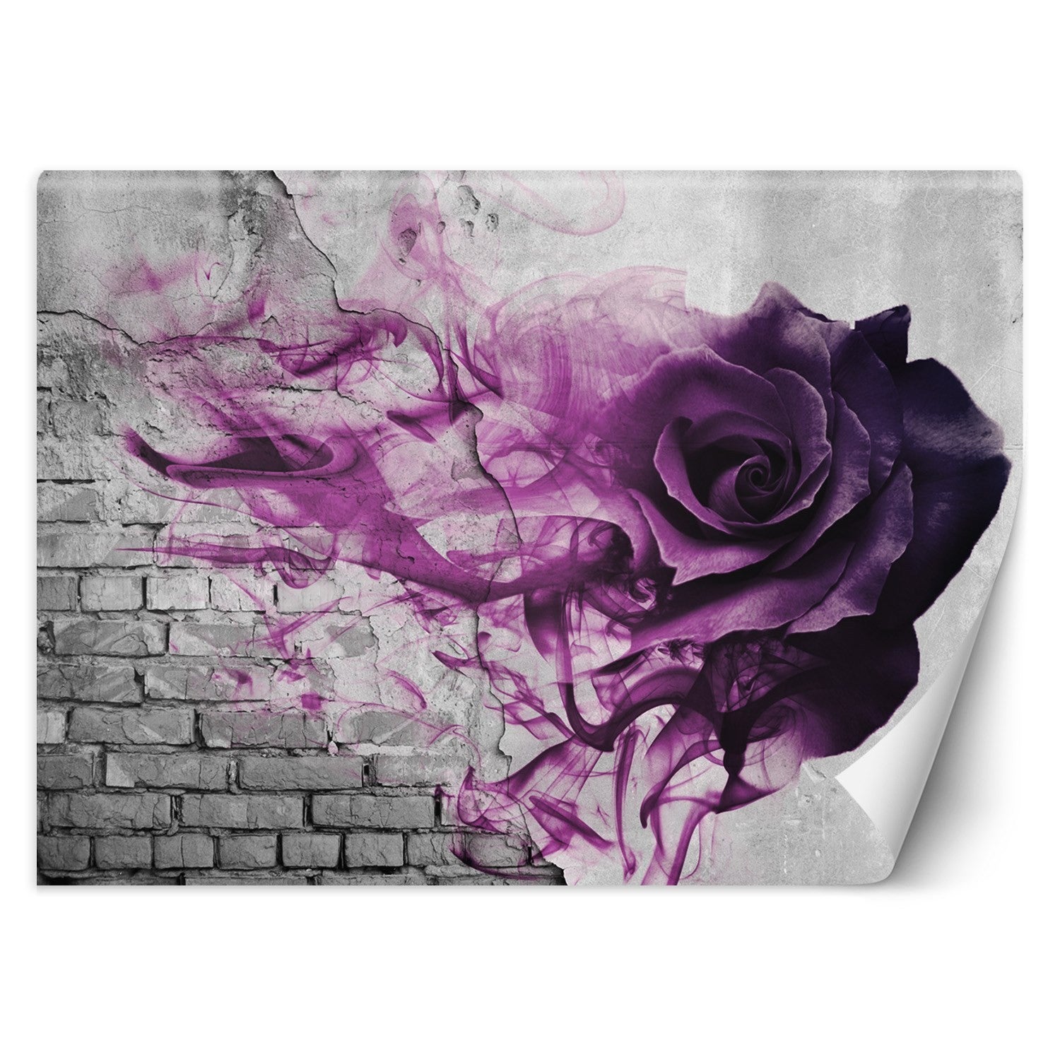 Fototapeta, Fioletowa róża dym 150x105