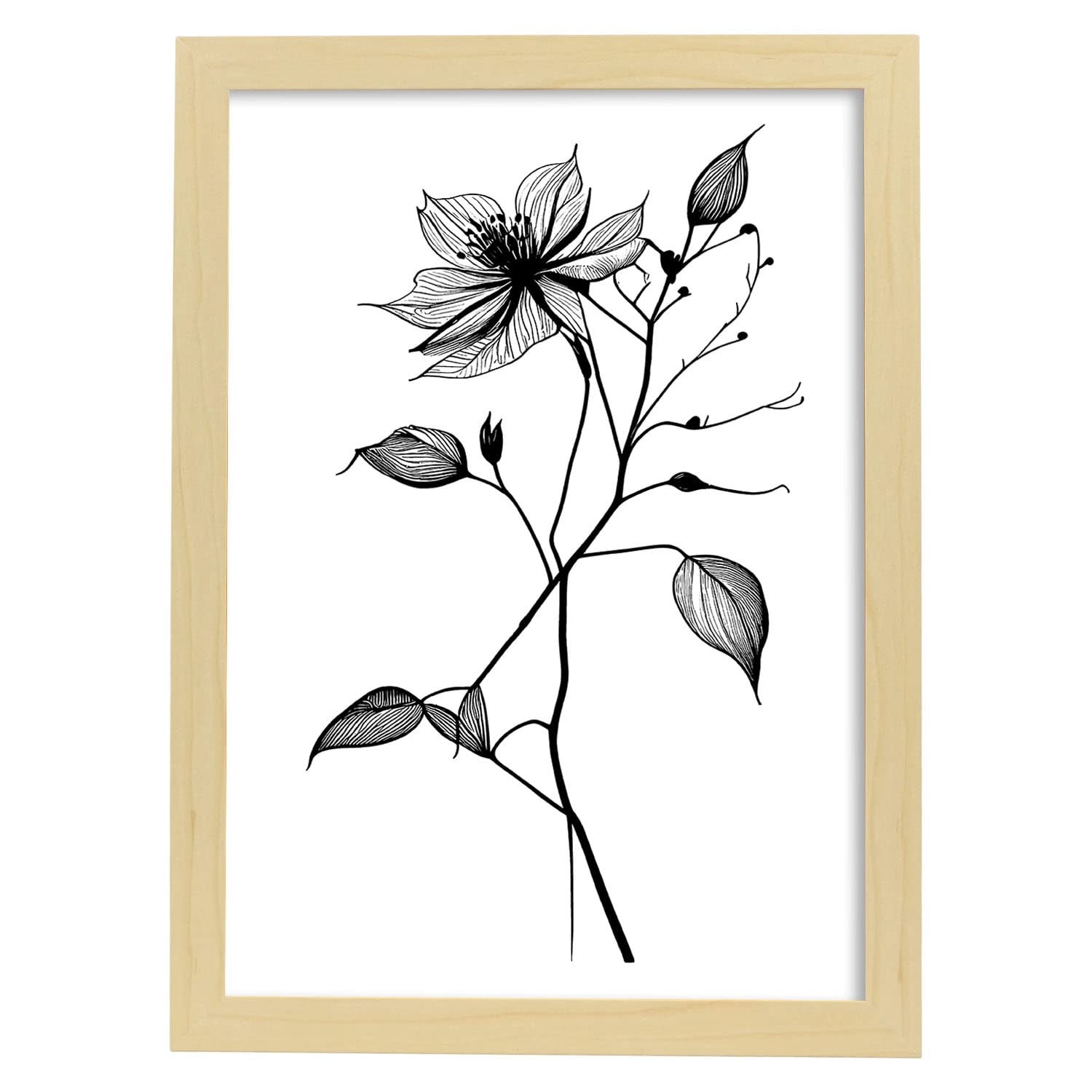 Nacnic Tulipa Illustration D'affiche Botanique De Plante De Fleur Noire Et Blanche Affiche Art Mural Minimaliste Nordique Pourmodele 6 A3 Sans Cadre 87701985
