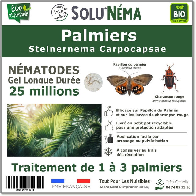 Solunéma - Traitement pour Palmiers à base de nématodes Steinernema Carpocapsae (SC) - 25 millions - 2 à 3 Palmiers