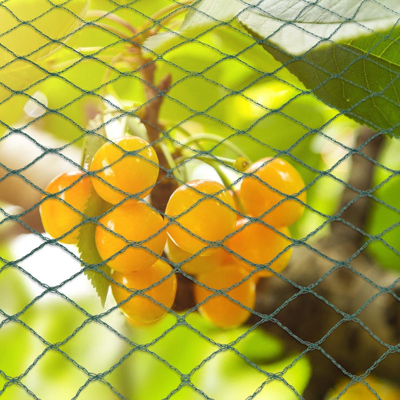 Protezione Per Pesci Da Laghetto Protezioni Per Reti - Foto 13