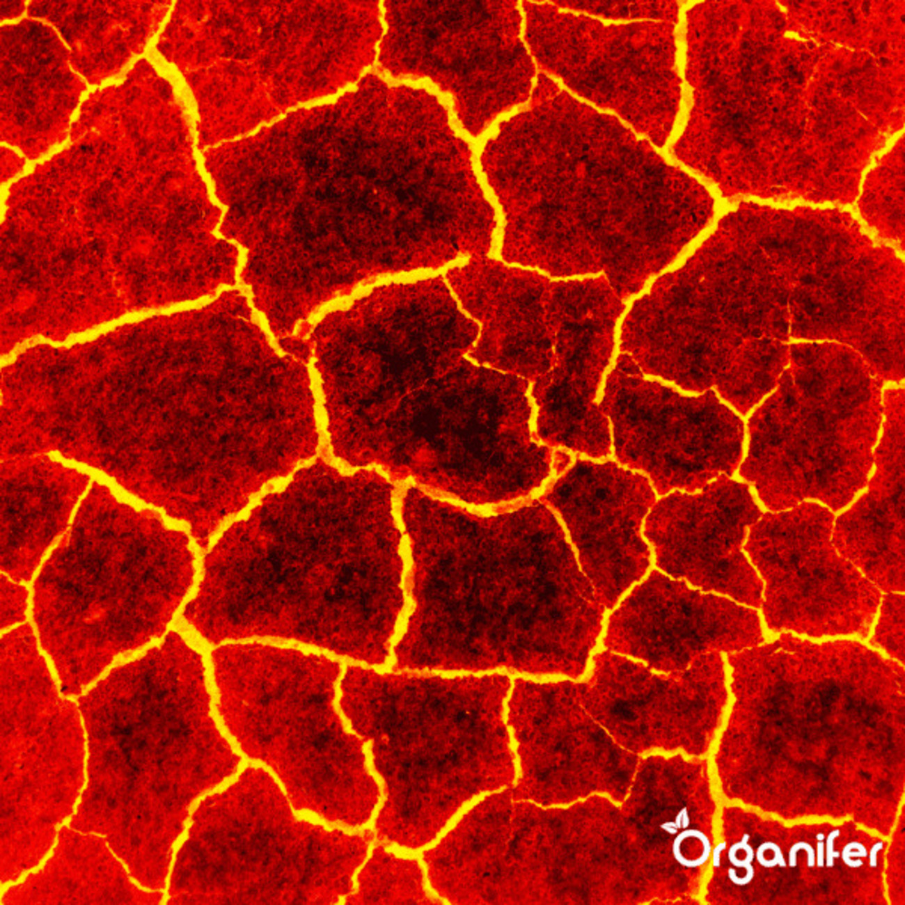 Lavagrit Issu De Roches Originelles D'Eifel - 20 Kg Pour 200 M2 - Organifer - 8