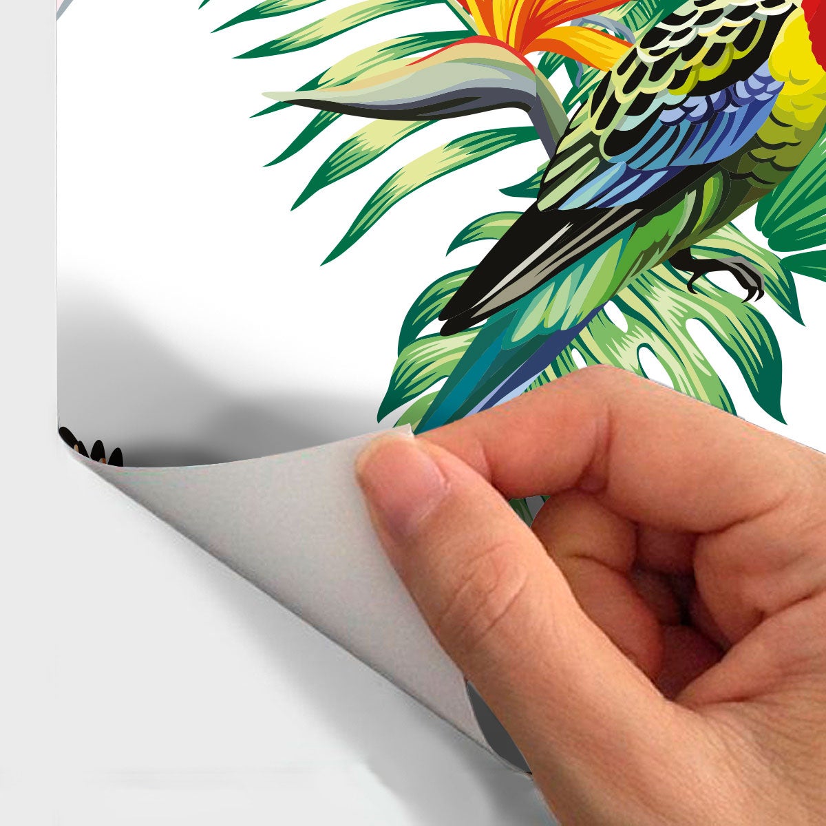 Adesivo arazzo tropicale Cahuita - Sticker adesivo - adesivi murali - 60x60cm - 4