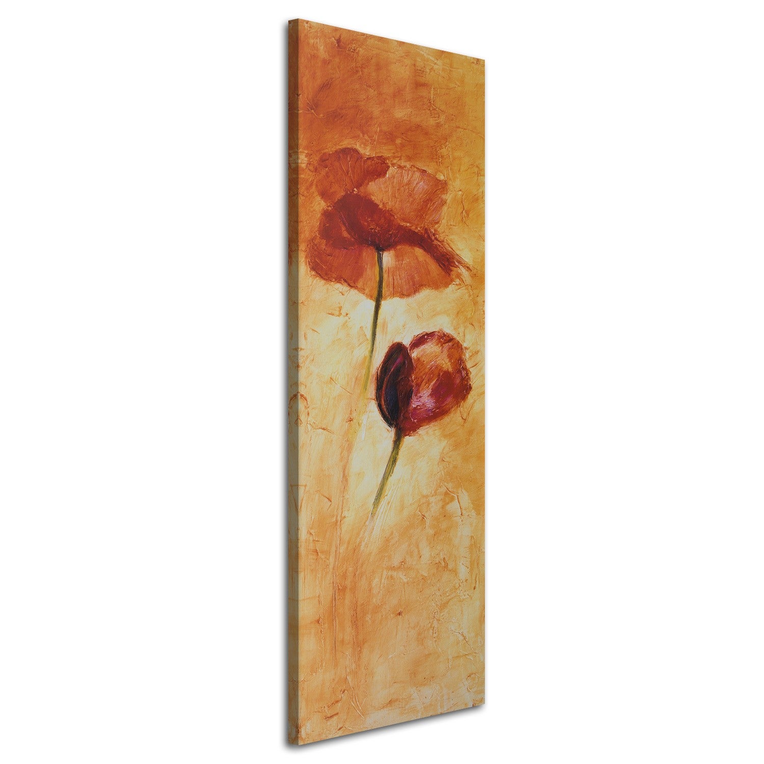 Obraz na płótnie, Dwa kwiaty maku 50x150