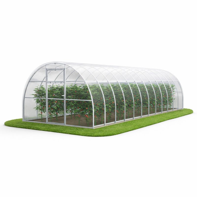 Szklarnia ogrodowa Tunel 3x8 m profile 20x20 poliwęglan 4mm - Szklarnia z poliwęglanu