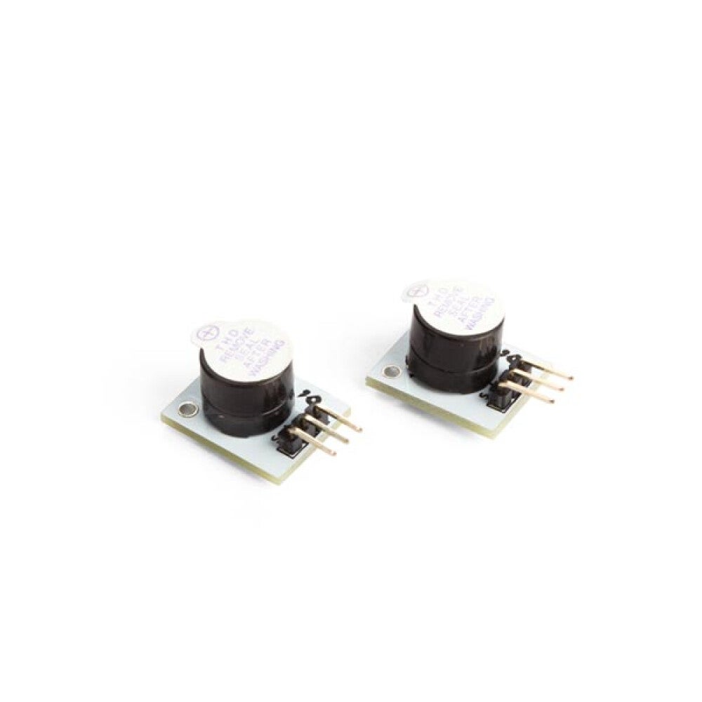 MODULE BUZZER (2 pcs) | Leroy Merlin