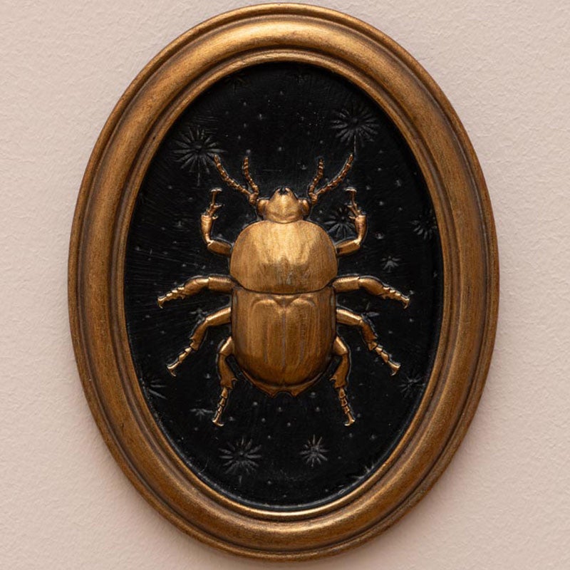 Ensemble 4 cadres insectes Entomologie 13x17cm - 3