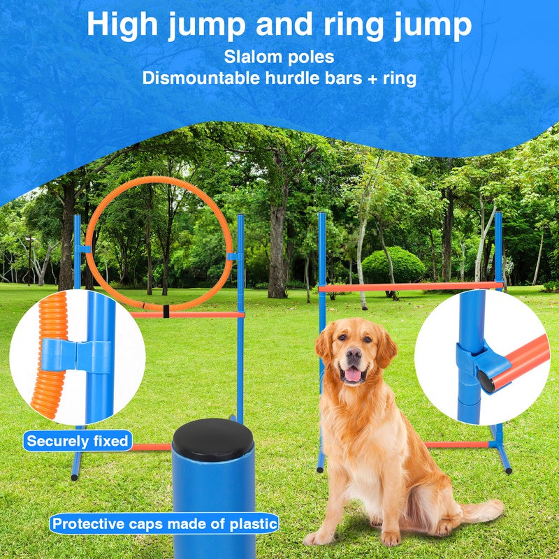 Agility sport pour chien set Agility pour chiens Agility Kit d'équipement tunnel slalom zone repos équipement complet set 5pcs - 3