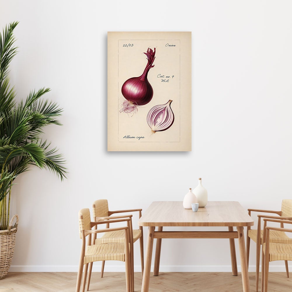 Obraz na płótnie, Warzywa Vintage Cebula 60x90