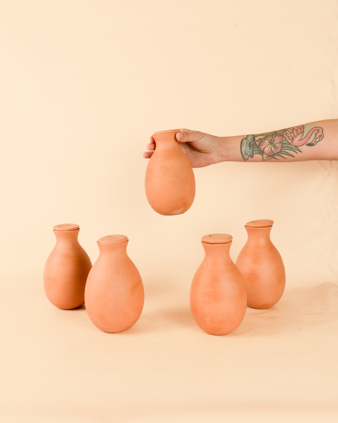 Kit De 5 Conos Autorriego De Cerámica Para Macetas – Riego Progresivo Y Ecológico Para Plantas De Interior Y Exterior (70 Ml/unidad)