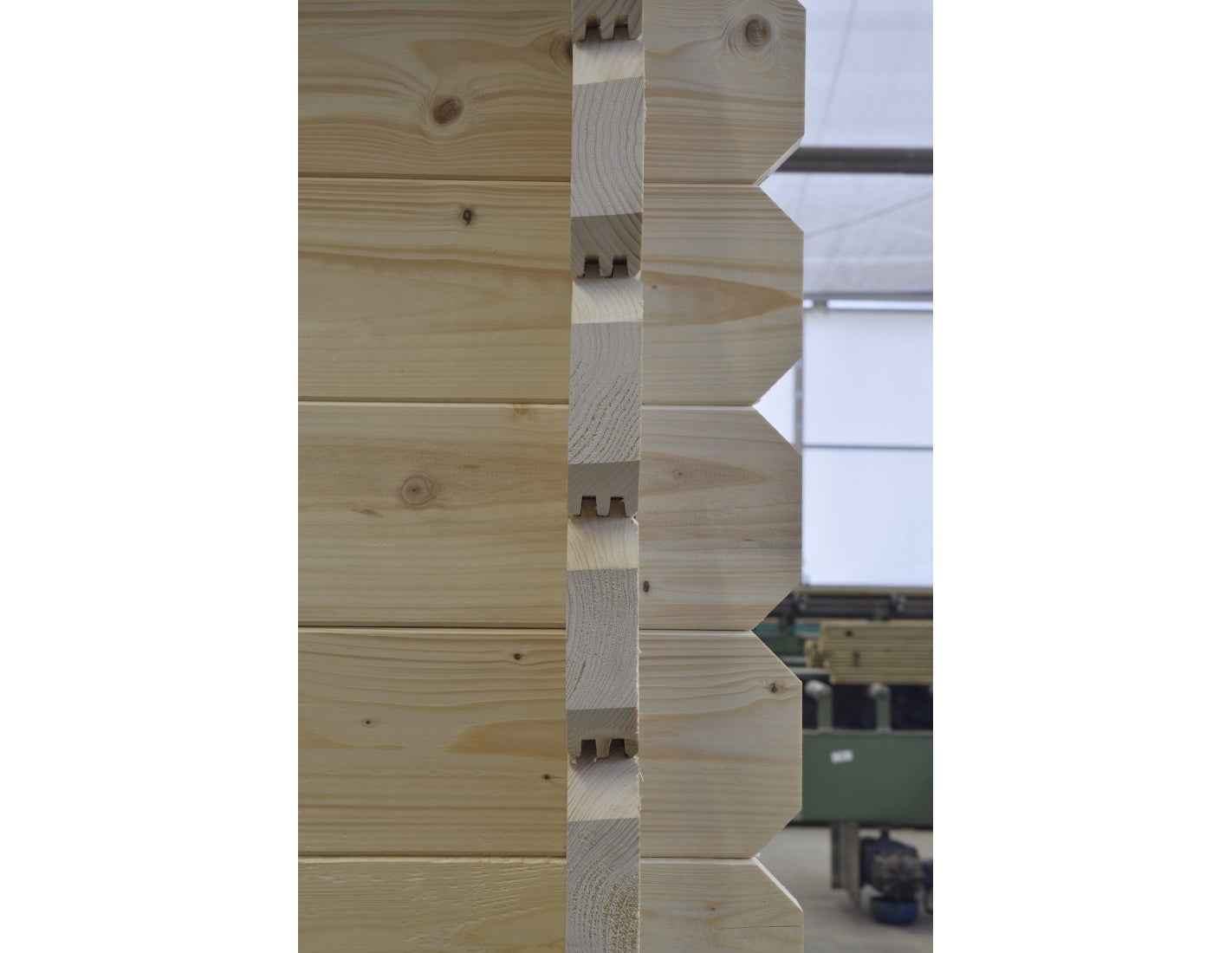 Caseta de jardín de madera 30 m2 - 6x5 m - 40 mm - DOM748 - ALTANKA - 6