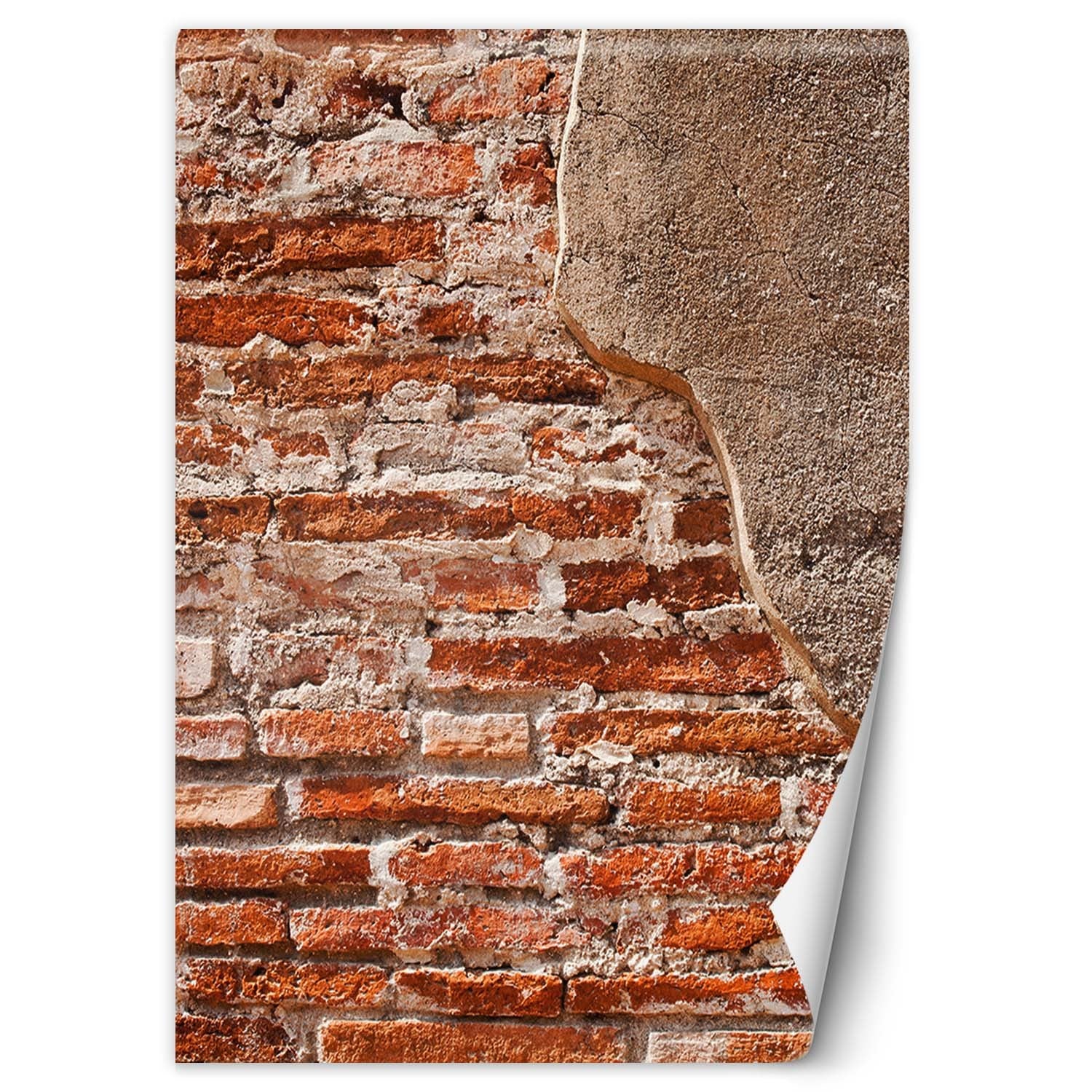 Fototapeta, Czerwona stara cegła 150x210