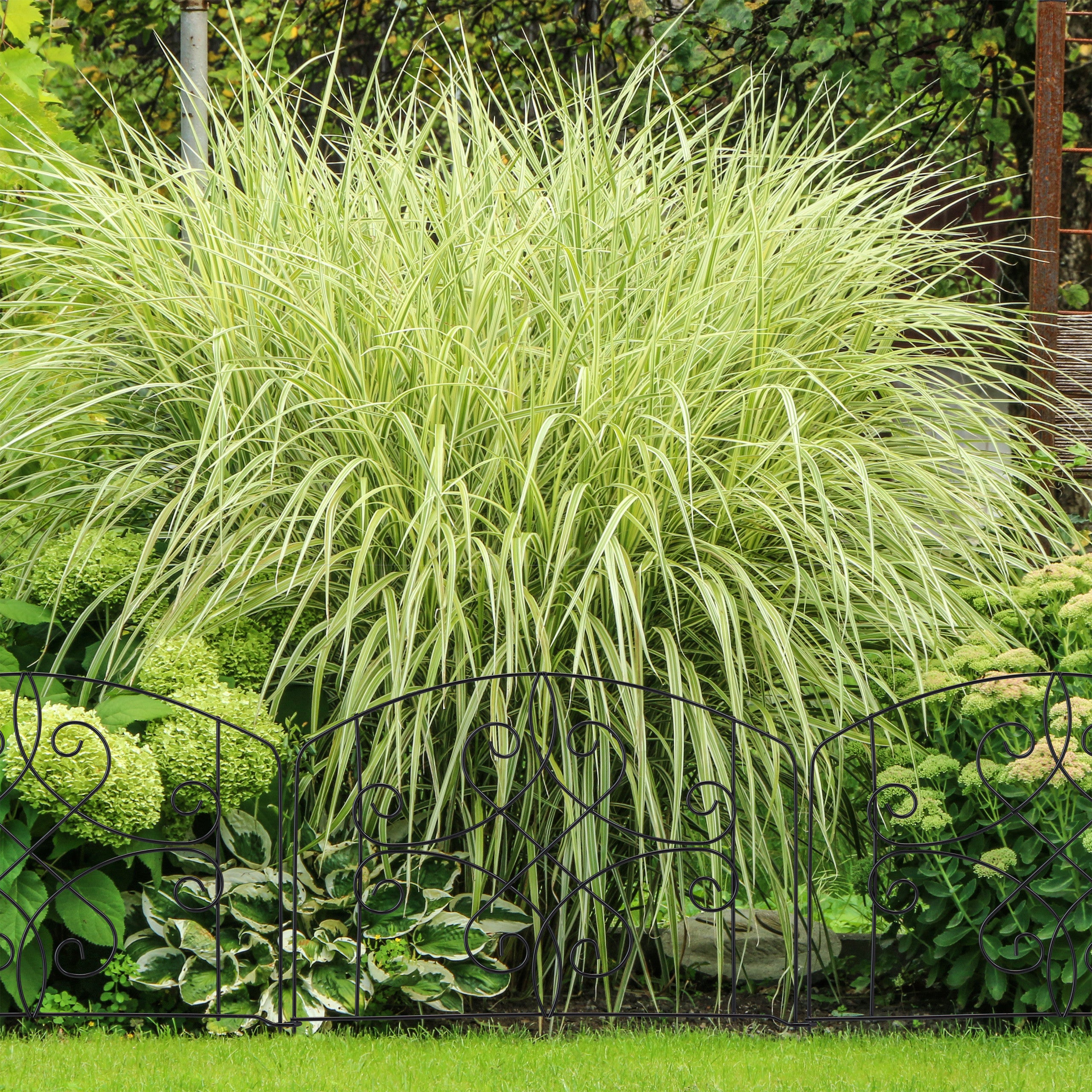 Bordure potager, clôture jardin 12 éléments, métal, ornements antiques, H x L : 32 x 186 cm, noir - 2