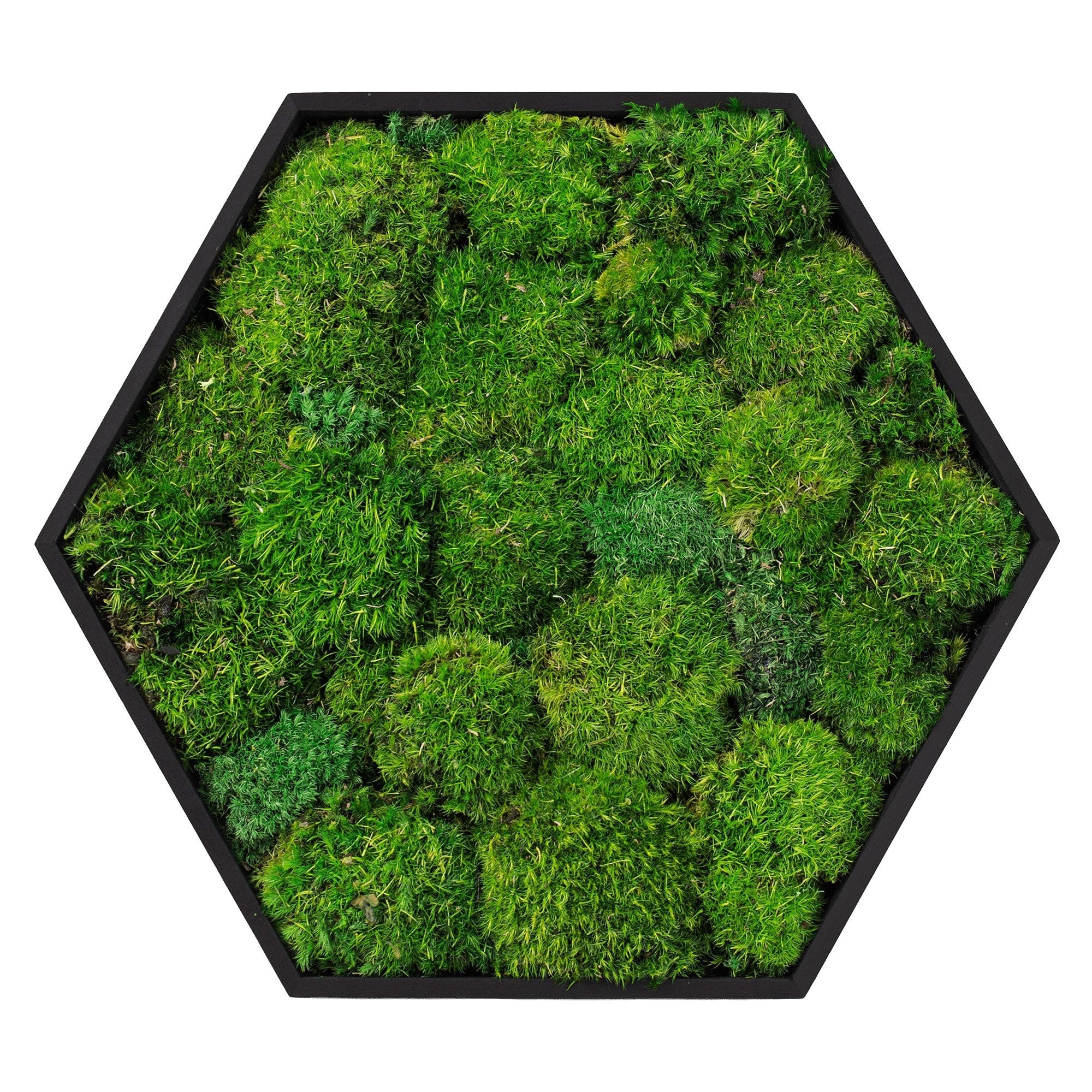 Tablou cu mușchi stabilizați ECD Germany hexagonal 38x34 cm, 3D pentru decorarea pereților din interior, mușchi sferic natural și ramă din lemn de pin