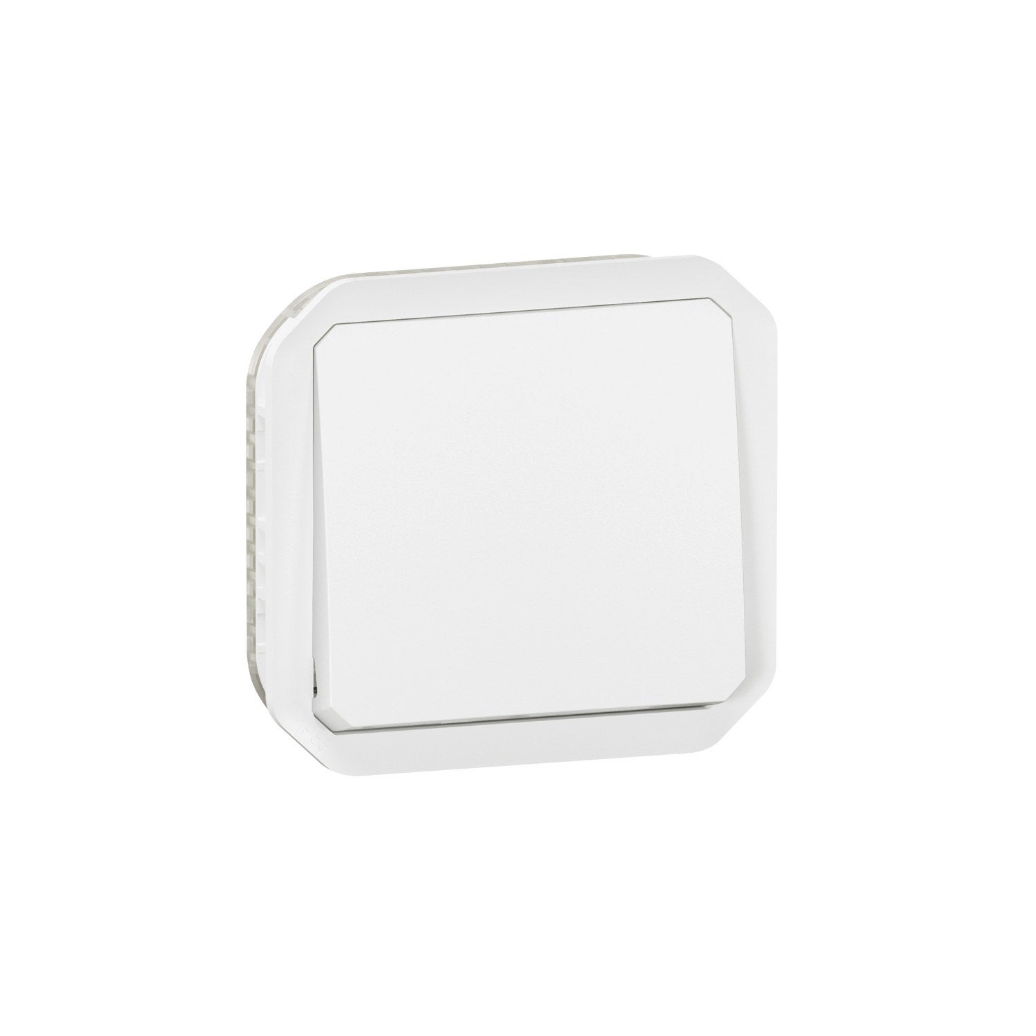 Interrupteur Plexo Legrand 069712L 10AX IP55 IK08 – Gris, Pose En Saillie, Costaud