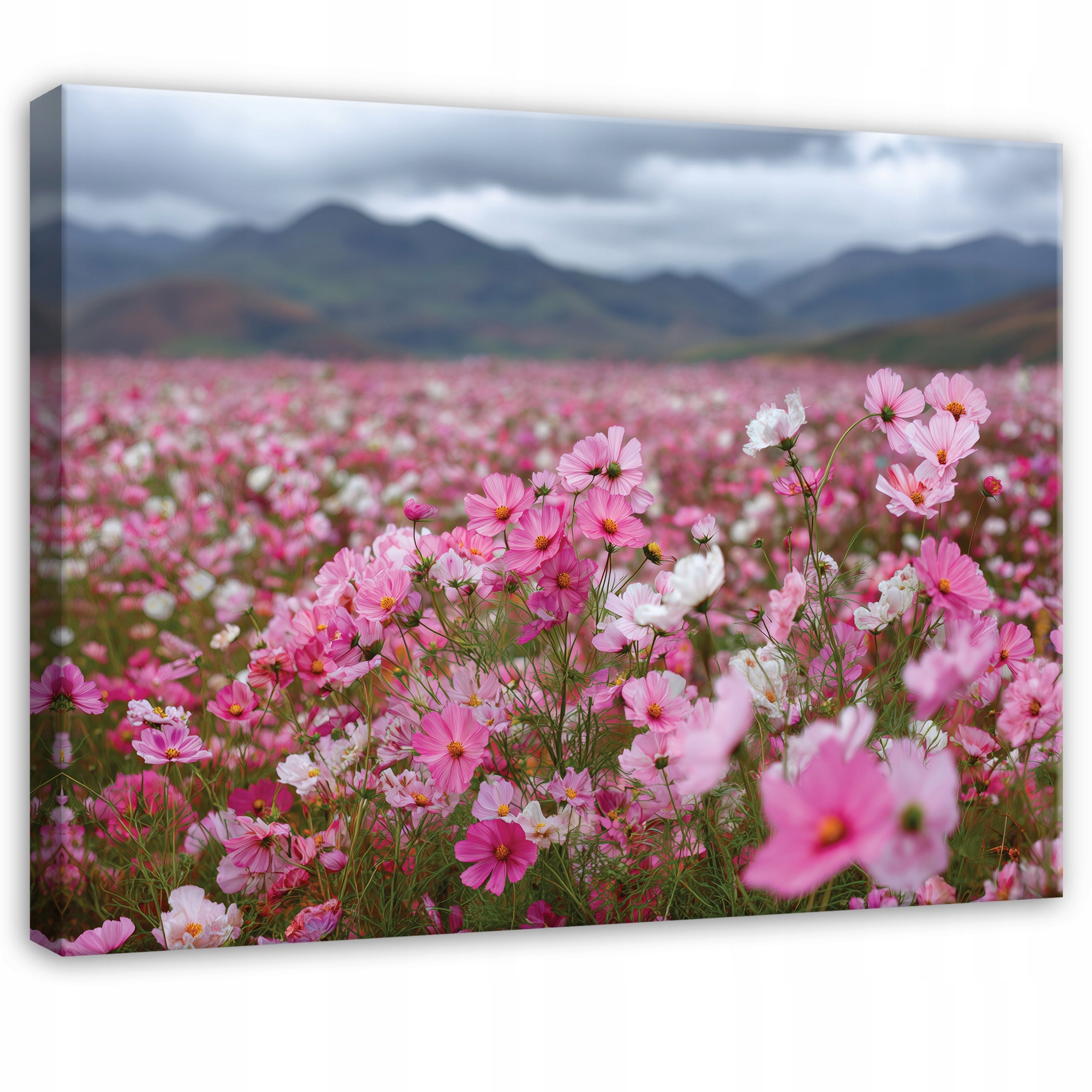 Tablou Canvas flori roz campuri Tablou decorativ Living Bucatarie Tablouri de perete 120x80 cm