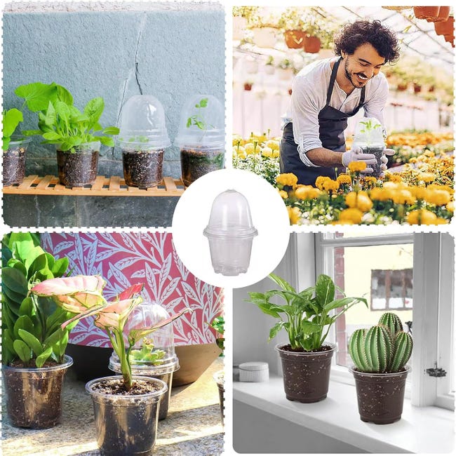 LIWI-T4u 6Pcs Pot de Fleur en Plastique 5 Pouces Blanc Système d'irrigation avec Trou d LIWI-T4u 6Pcs Pot de Fleur en Plastique 5 Pouces Blanc Système d'irrigation avec Trou d