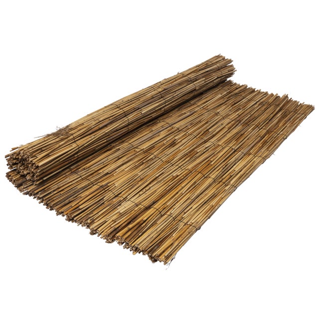 Canisse Ø 2,5mm roseau WERKA PRO 1x3m