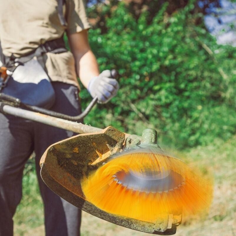 Brosse à mauvaises herbes en nylon - Brosse ronde universelle pour débroussailleuse - Outils de jardin durables - 200 mm x 25,4 mm - 4