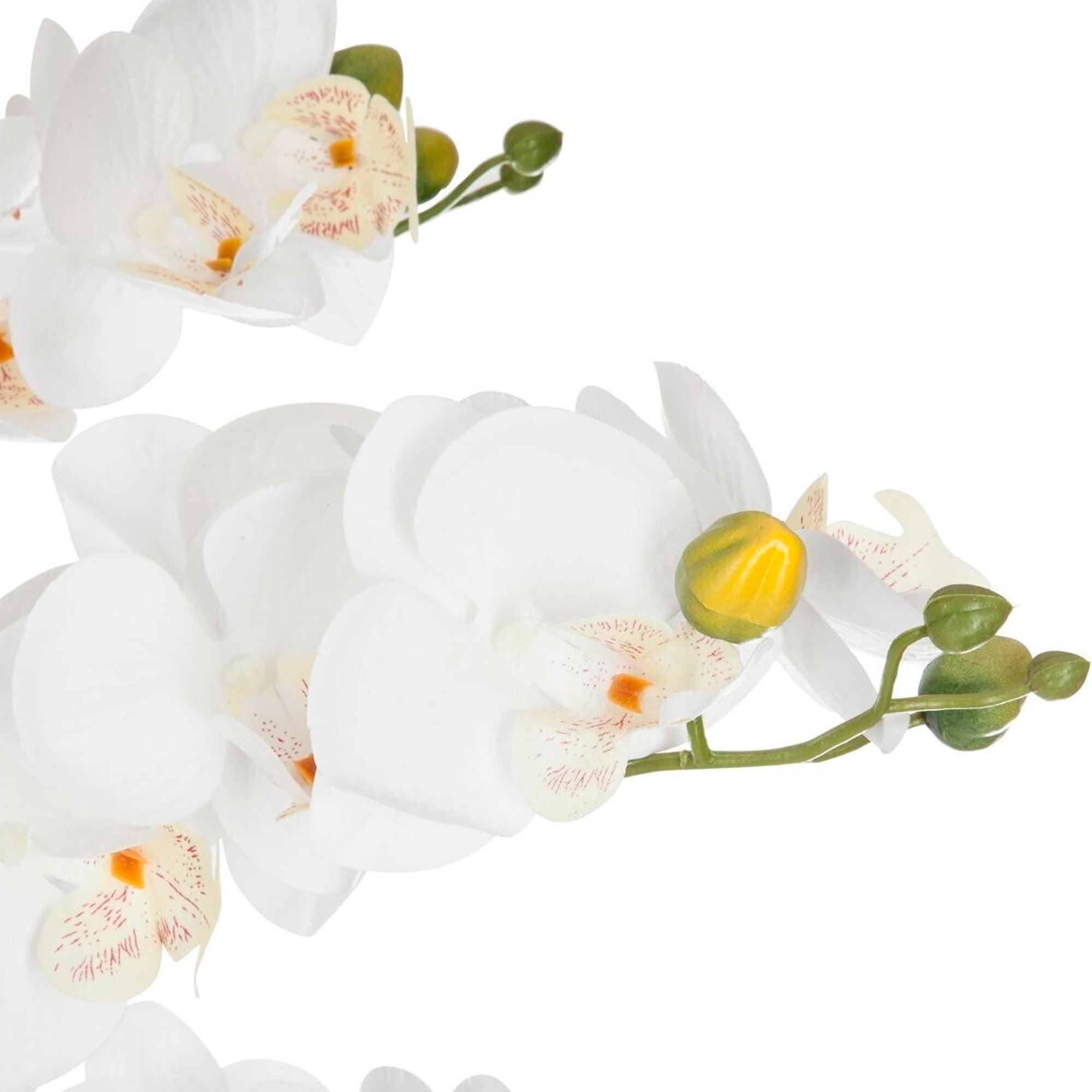 WELLHOME Orquídea Ø45x61,5 cm em branco - 5
