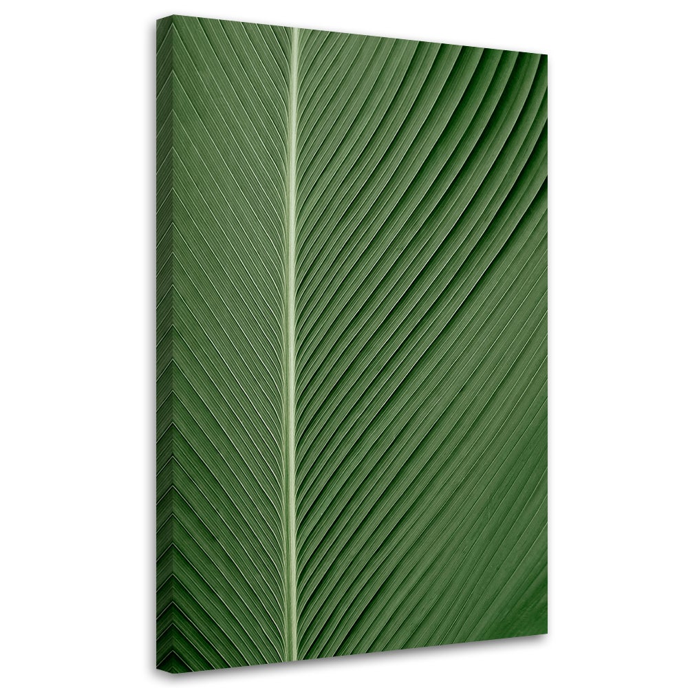 Obraz na płótnie, Liść bananowca w skali makro 80x120