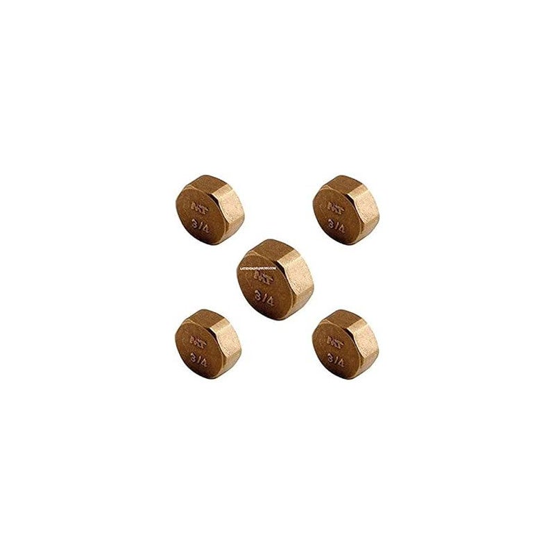 Lot De 5 Bouchons Femelles Filetage 1/2" - LEM Select - Réf. AM31752PS - Neufs