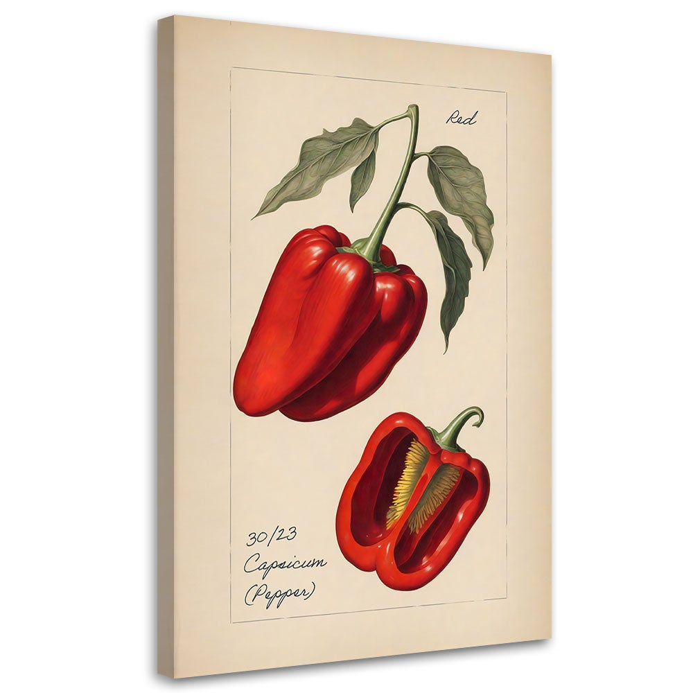 Obraz na płótnie, Warzywa Vintage Papryka 80x120