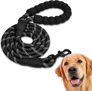 Collar Perro Pequeño Collar Para Perro Ferplast - Nailon Acolchado, Ajustable (41-49 Cm), Hebilla Metálica, Color Verde Oscuro Correa Comodidad Mascotas Collar Perro Pequeño Collar Para Perro Ferplast - Nailon Acolchado, Ajustable (41-49 Cm), Hebilla Metálica, Color Verde Oscuro Correa Comodidad Mascotas